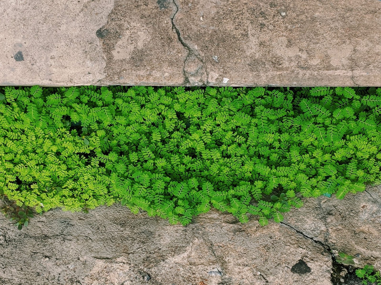 Essential Guide To Green Concrete & Cement | Technology & Market